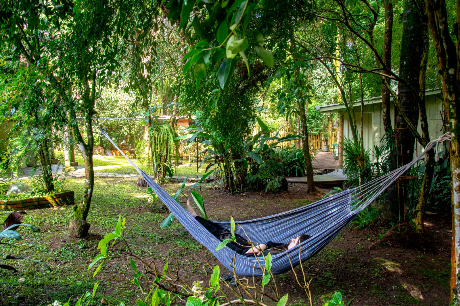 Rede no jardim com vista ampla da área verde